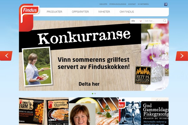 findus theme websites examples