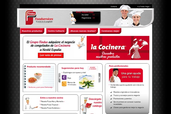 findusfoodservices.es site used Findus