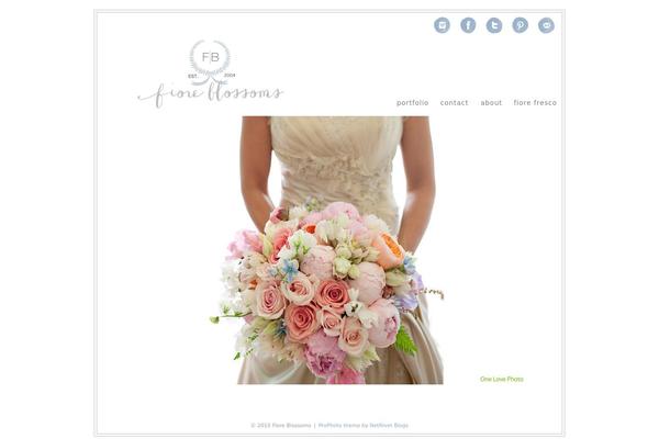 Prophoto4 theme site design template sample