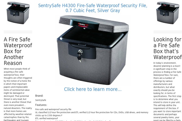 firesafewaterproofbox.com site used Speedazon