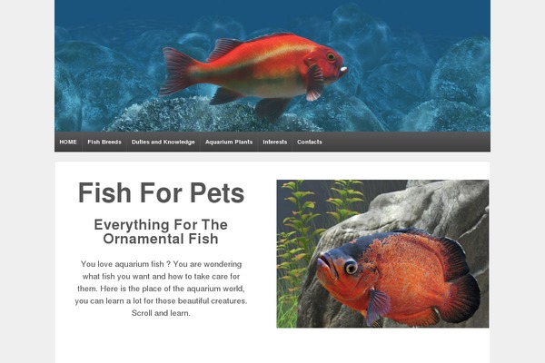 WordPress website example screenshot