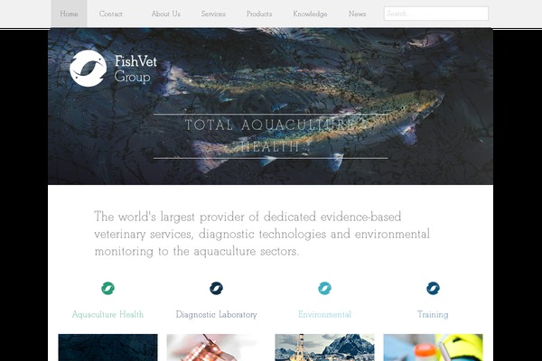 fishvetgroup.com site used Bmk-wp-build