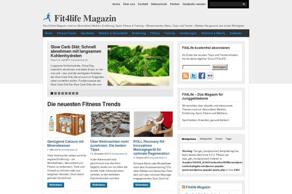 WordPress website example screenshot