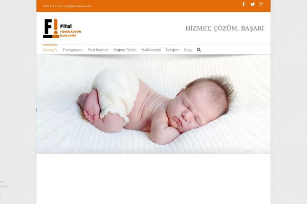 WordPress website example screenshot