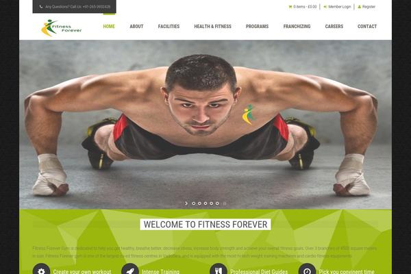 fitnesszone theme websites examples