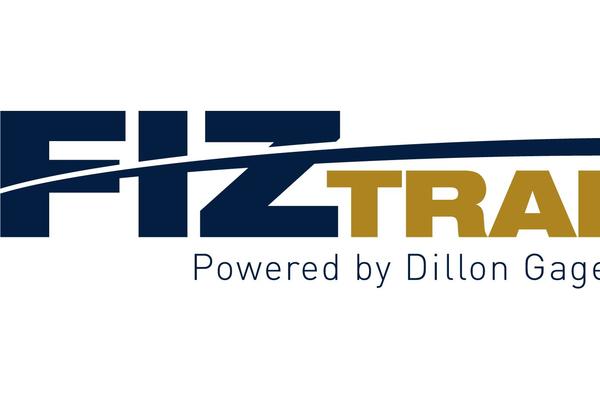 fiztrade.com site used Dillongage2