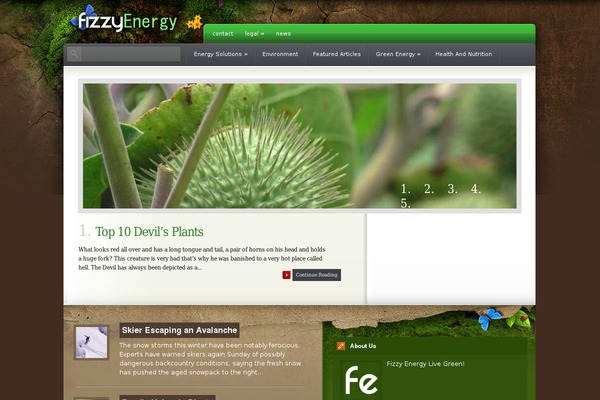 fizzyenergy.com site used Coldstone