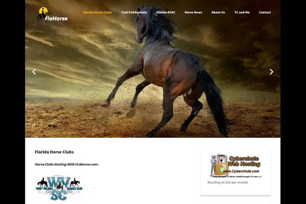 Site using FEEDZY RSS Feeds plugin