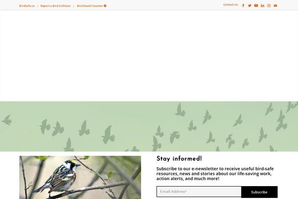 Flap theme site design template sample