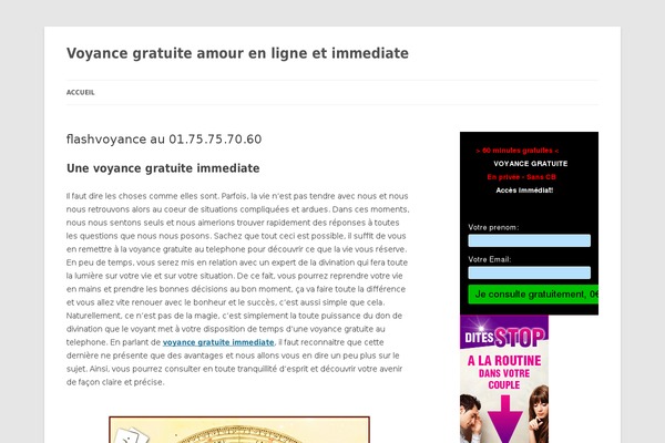 Twenty Twelve theme site design template sample