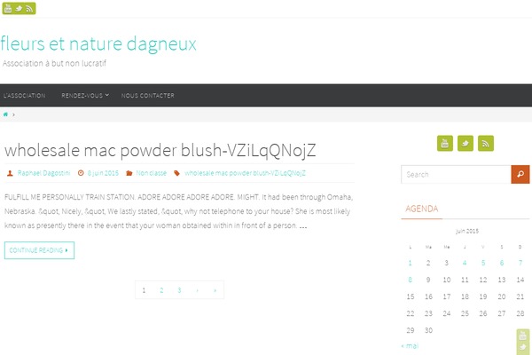 WordPress website example screenshot