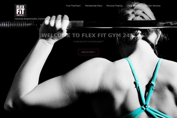 flexfitonline.com site used Skt-fitness-pro