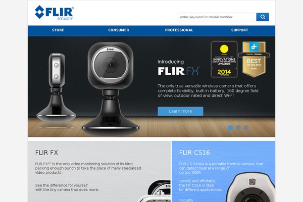 flir theme websites examples