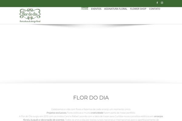 Site using Autoptimize plugin