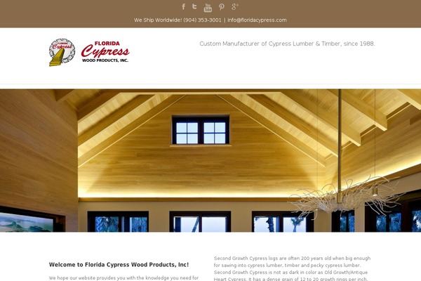Avada theme site design template sample
