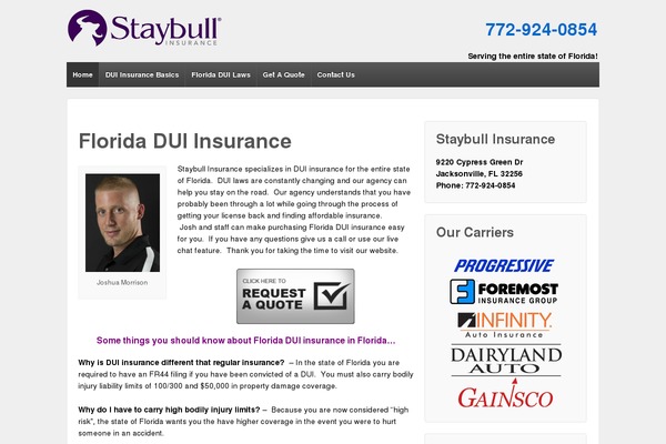 WordPress website example screenshot