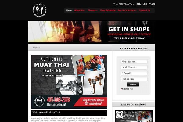 TheSource theme site design template sample