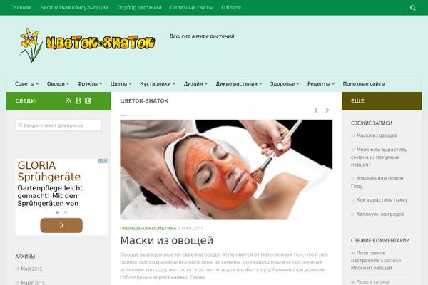 WordPress website example screenshot