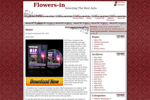 flowers-in.com site used Themescapes Raider
