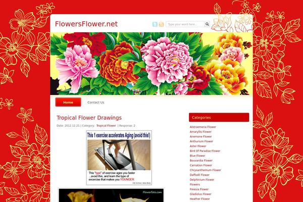 China Red theme site design template sample
