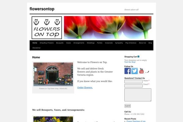 WordPress website example screenshot