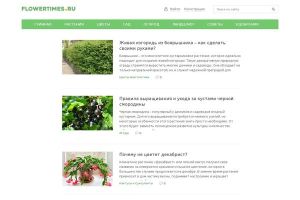 Site using Autoptimize plugin