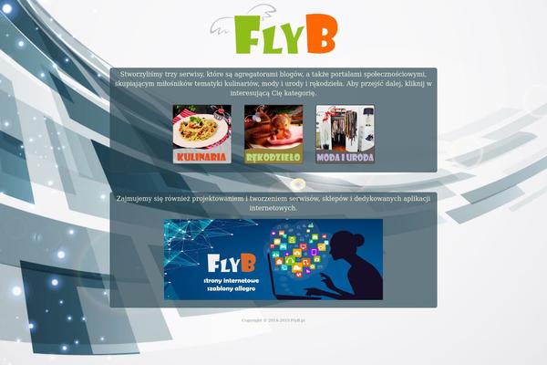 flyb.pl site used Pinthis_1.3.2
