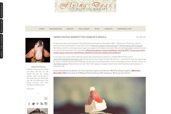 ProPhoto 5 theme site design template sample