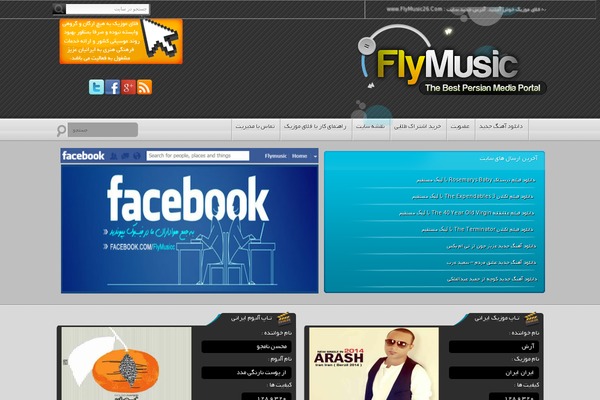 flymusic20.com site used Flymusics