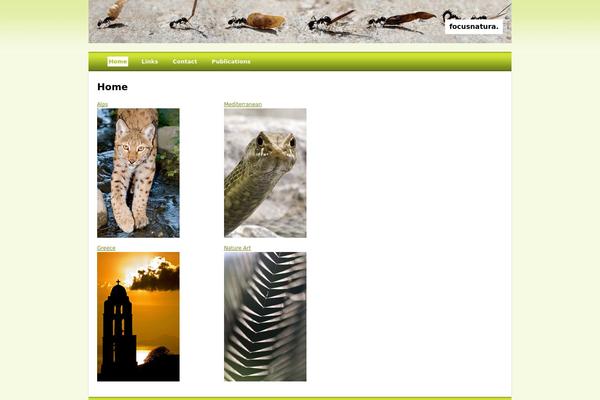 Snapshot theme site design template sample