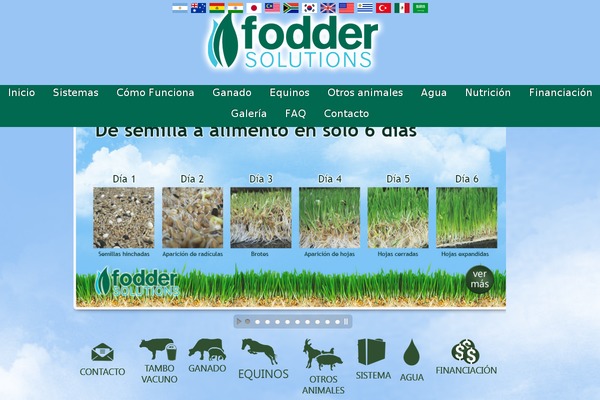 foddersolutions.com.ar site used Tema_pedido