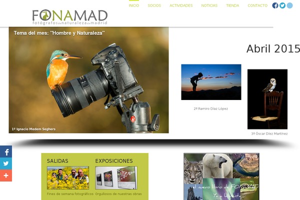 fonamad.org site used Avada_actual