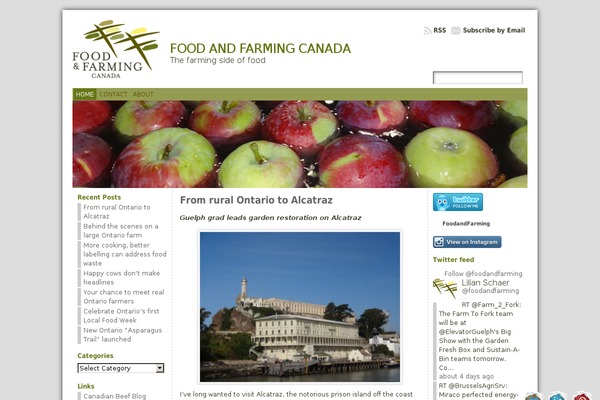 WordPress website example screenshot