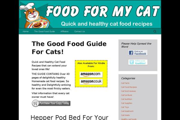 Twenty Thirteen theme site design template sample
