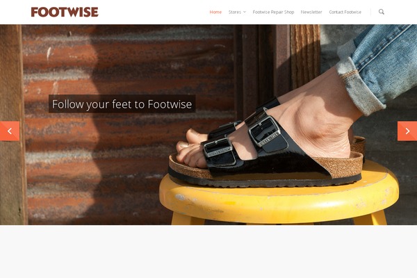 Salient theme site design template sample