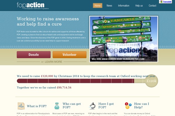 fopaction.co.uk site used Children-charity