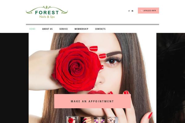 Nailsbar theme site design template sample