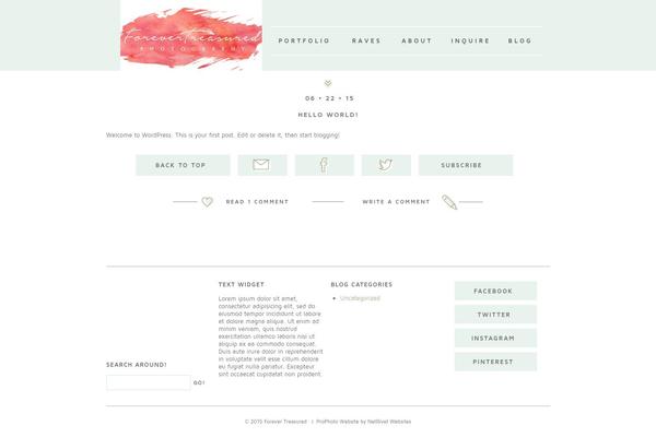 WordPress website example screenshot
