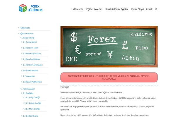Sahifa theme site design template sample