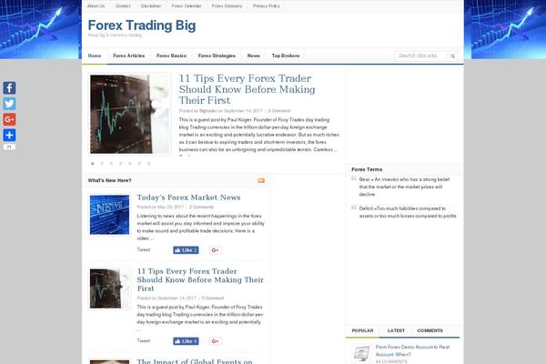 forextradingbig.com site used Daily