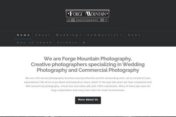 Site using Elementor-pro plugin