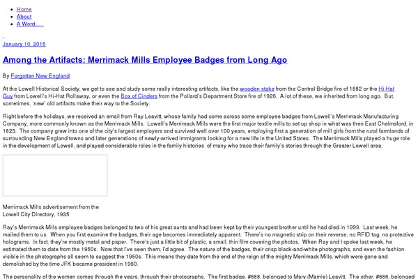 WordPress website example screenshot