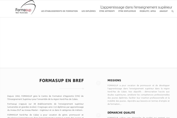 Enfold theme site design template sample