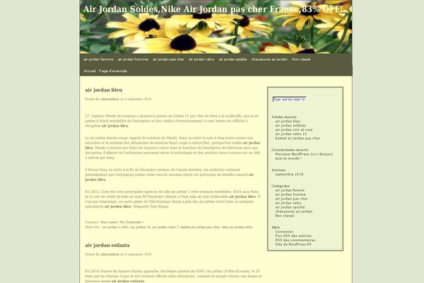 WordPress website example screenshot