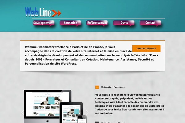 WordPress website example screenshot