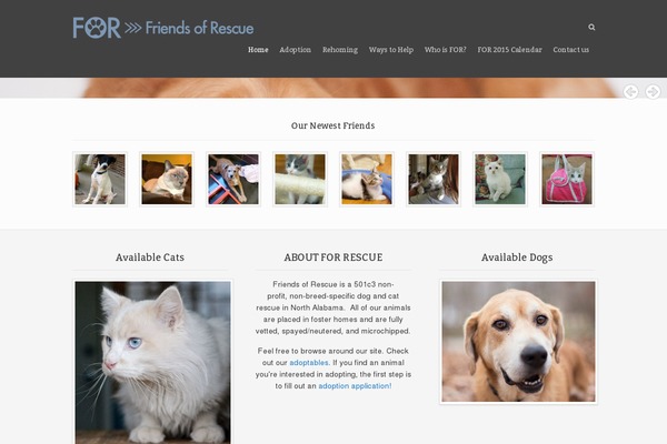 Animals theme site design template sample