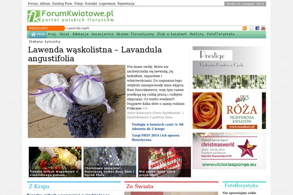 forumkwiatowe.pl site used NewspaperTimes