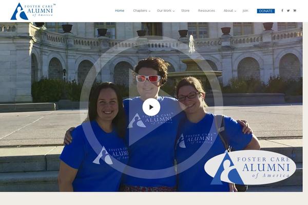 bridge-child-theme theme websites examples