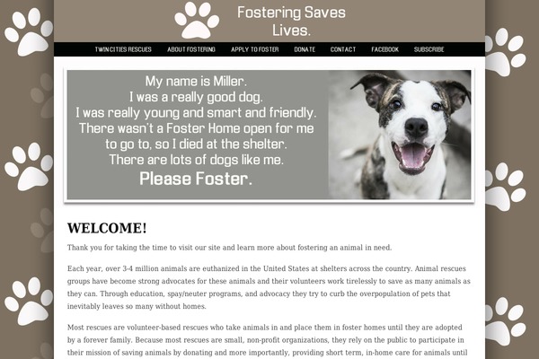 WordPress website example screenshot