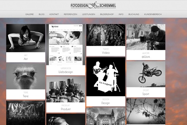 Photolux theme site design template sample